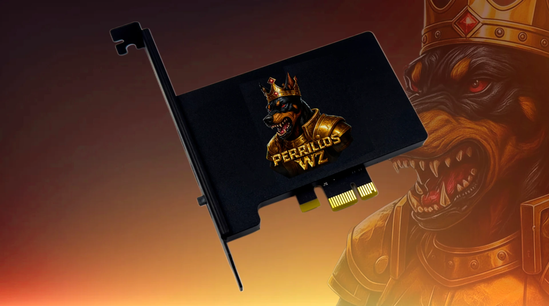 DMA PCIe Card 100-T